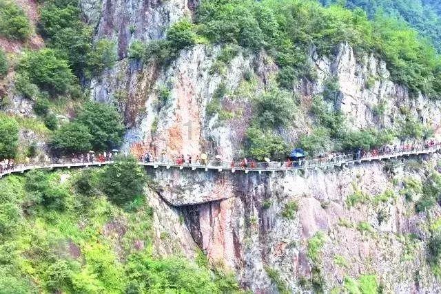 大象驾到下载苹果